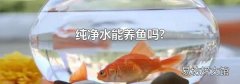 纯净水能养鱼吗?