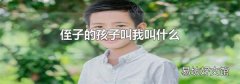 侄子的孩子叫我叫什么