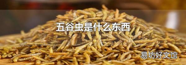 五谷虫是什么东西