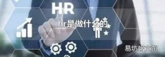 hr是做什么的