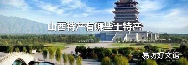 山西特产有哪些土特产
