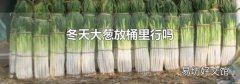 冬天大葱放桶里行吗