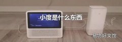 小度是什么东西