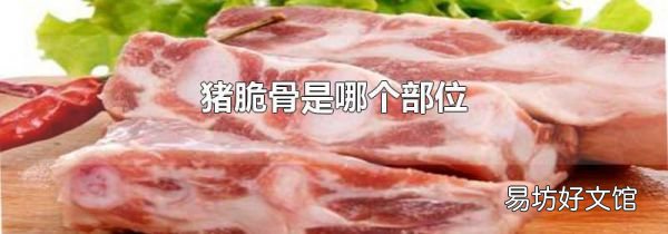 猪脆骨是哪个部位