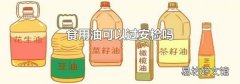 食用油可以过安检吗
