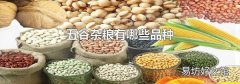 五谷杂粮有哪些品种