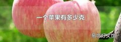 一个苹果有多少克