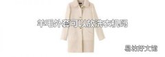 羊毛外套可以放洗衣机吗