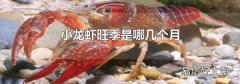 小龙虾旺季是哪几个月