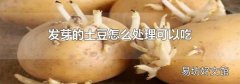 发芽的土豆怎么处理可以吃