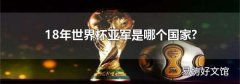 18年世界杯亚军是哪个国家?