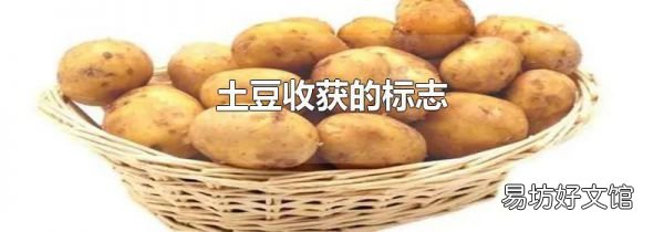 土豆收获的标志