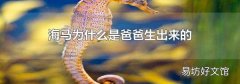 海马为什么是爸爸生出来的