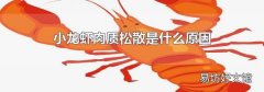 小龙虾肉质松散是什么原因