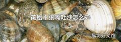 花蛤不张嘴吐沙怎么办