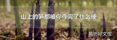山上的笋都被你夺完了什么梗
