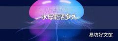 水母能活多久