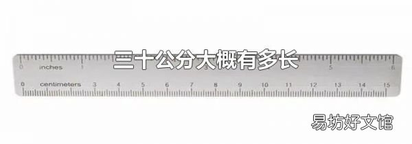 三十公分大概有多长
