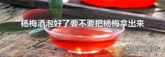杨梅酒泡好了要不要把杨梅拿出来