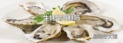 生蚝是海鲜吗