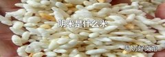 阴米是什么米