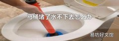 马桶堵了水不下去怎么办