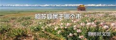 昭苏县属于哪个市