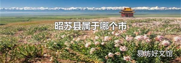 昭苏县属于哪个市