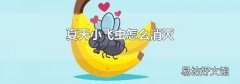 夏天小飞虫怎么消灭
