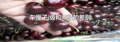 车厘子j级和JJ级的差别