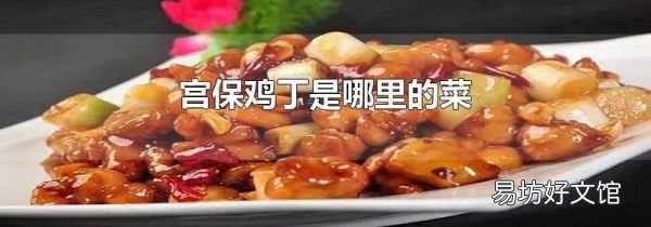 宫保鸡丁是哪里的菜