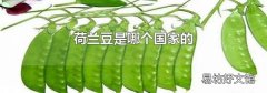 荷兰豆是哪个国家的