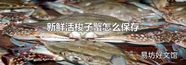 新鲜活梭子蟹怎么保存
