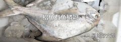 鲳鱼有鱼鳞吗