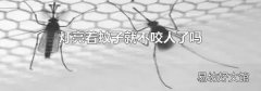 灯亮着蚊子就不咬人了吗