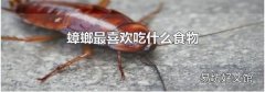 蟑螂最喜欢吃什么食物