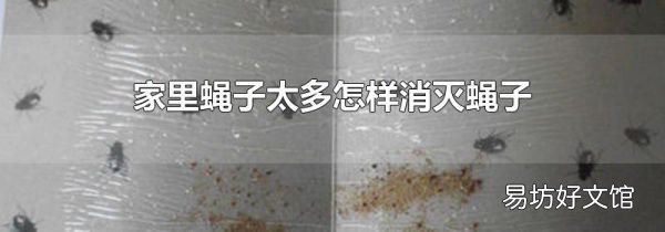 家里蝇子太多怎样消灭蝇子