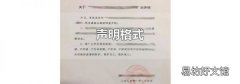 声明格式