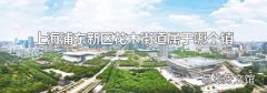 上海浦东新区花木街道属于哪个镇