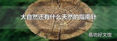 大自然还有什么天然的指南针