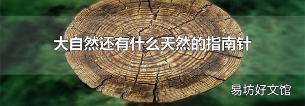 大自然还有什么天然的指南针
