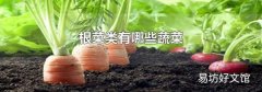 根菜类有哪些蔬菜