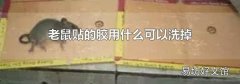 老鼠贴的胶用什么可以洗掉
