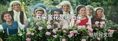 五朵金花是哪五朵