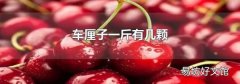 车厘子一斤有几颗