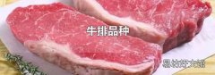 牛排品种