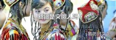 新疆是突厥人吗