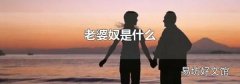 老婆奴是什么