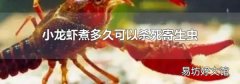 小龙虾煮多久可以杀死寄生虫
