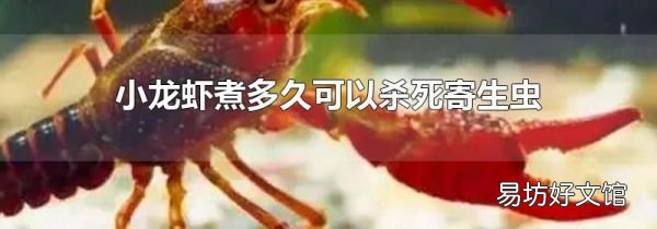 小龙虾煮多久可以杀死寄生虫